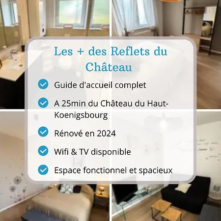 Les Reflets Du Chateau - Parking Gratuit - Cosy & Moderne - Route Des Vins *