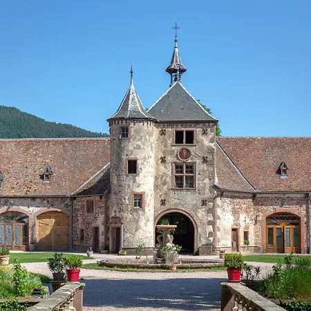 Les Reflets Du Chateau ~ Wine Road ~ Free Parking Thanvillé