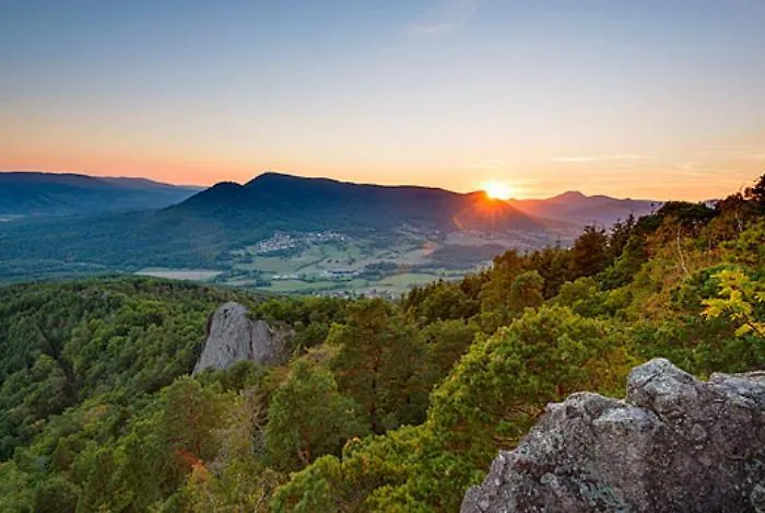 Les Reflets Du Chateau - Parking Gratuit - Cosy & Moderne - Route Des Vins Apartment *