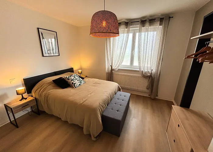 Apartment Les Reflets Du Chateau - Parking Gratuit - Cosy & Moderne - Route Des Vins *