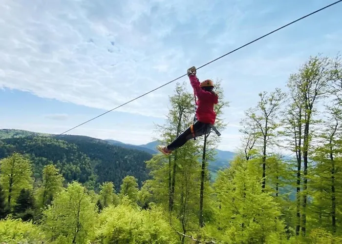 Les Reflets Du Chateau - Parking Gratuit - Cosy & Moderne - Route Des Vins Apartment